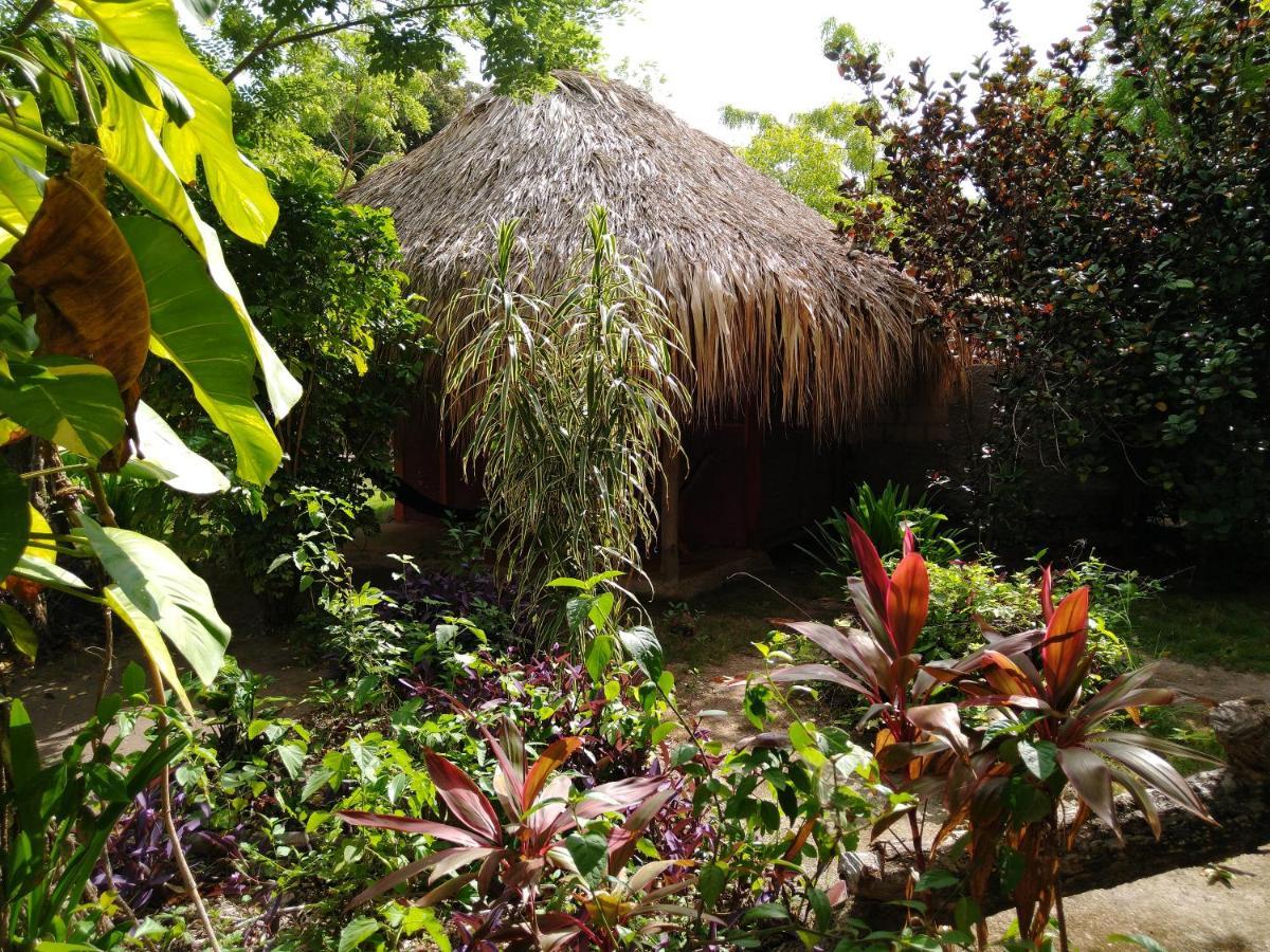 Eco Hotel Las Palmeras Isla Grande  Exterior foto