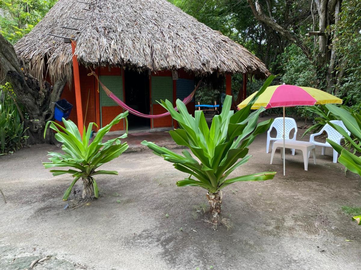 Eco Hotel Las Palmeras Isla Grande  Exterior foto