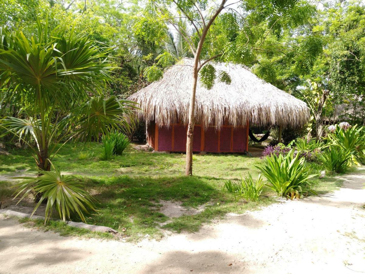 Eco Hotel Las Palmeras Isla Grande  Exterior foto