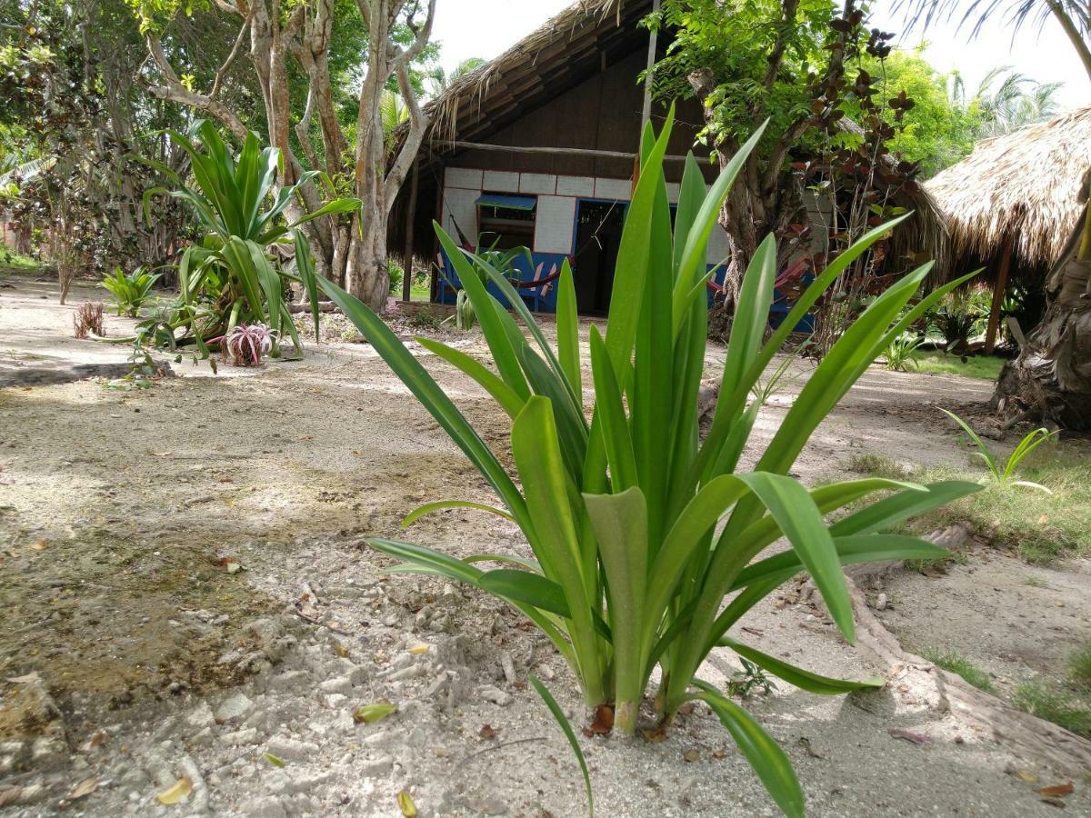 Eco Hotel Las Palmeras Isla Grande  Exterior foto